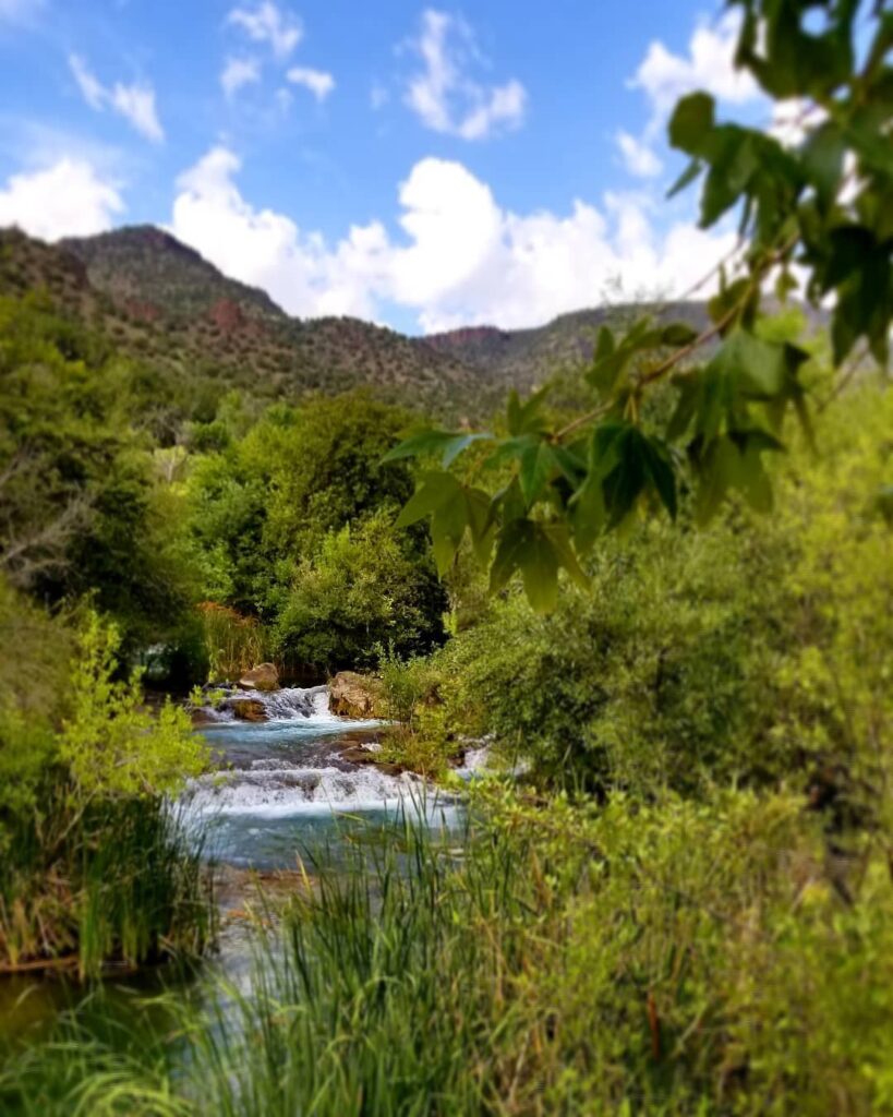 Arizona is not just Desert