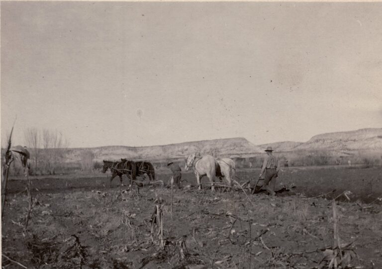 plowing-middle-verde