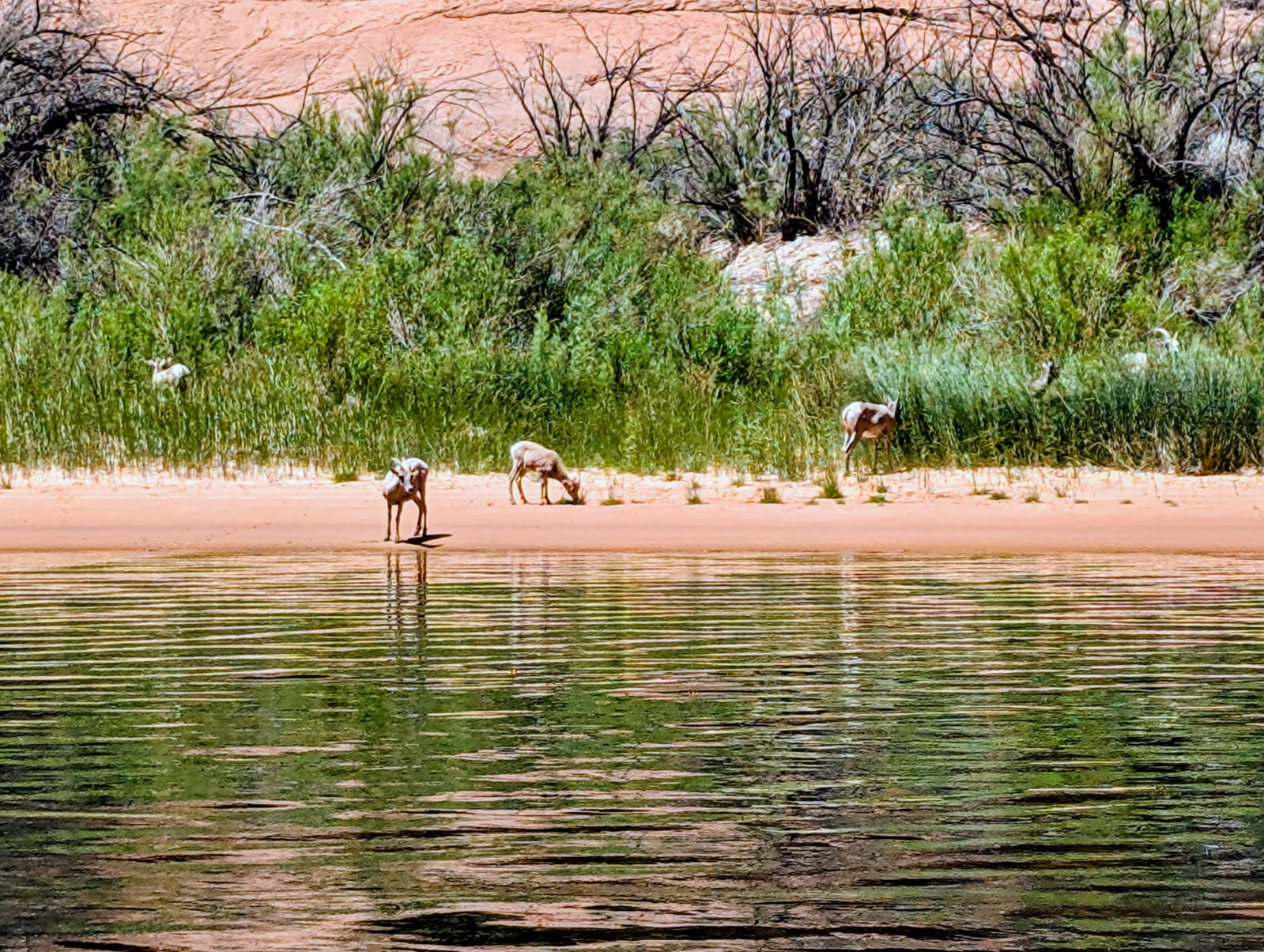 Proposed EPA rule could put Arizona's water resources at stake